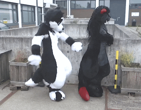 Furrie Dancing GIF by Minky Mom