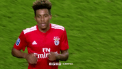 sl benfica clap GIF by Sport Lisboa e Benfica