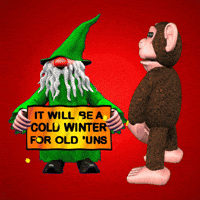 Cold Winter Monkey GIF