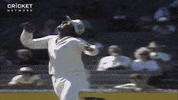 cricketcomau cricket Pakistan test cricket trucker cap GIF