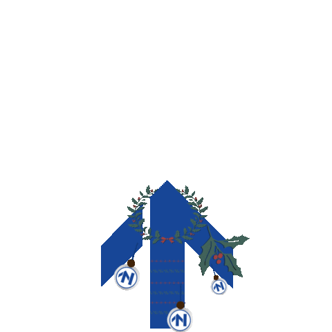 RTVNoord giphyupload christmas up swipe Sticker