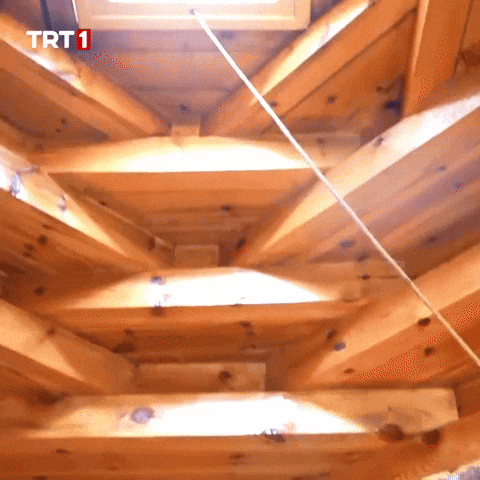 Sun House GIF by TRT