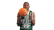 Basketball Hoops Sticker by Basket_fi