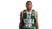 Basketball Hoops Sticker by Basket_fi