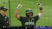 Ncaa Baseball Celebration GIF by NCAA Championships