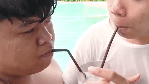 sunbeary GIF