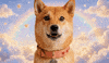 Wow Reaction GIF by DogeGF