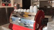 france art GIF by Casol