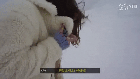 snowy2018 giphygifmaker GIF