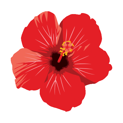 Amapola Sticker by VoyTuristeando