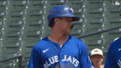 Blue Jays Smile GIF by Toronto Blue Jays