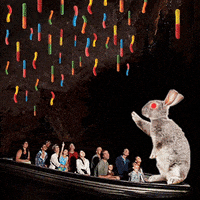 nicholas cage bunny GIF by Trolli