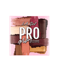 Pink Makeup Sticker by L.A. Girl
