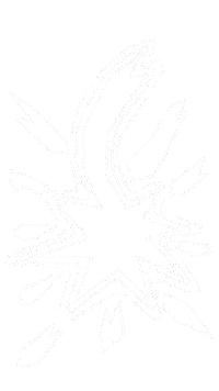 Logo Padres Sticker