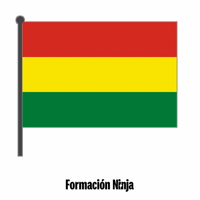 Flag Bandera GIF by Formación Ninja