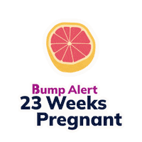 Pregnancy Baby Alert Sticker by The Bump