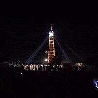 GIF by Bonnaroo Music and Arts Festival