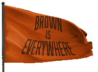 Flag Sticker by DESI TRILL