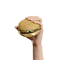 alistae burger open dubai mirror Sticker