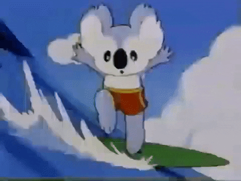 fallwestmike giphygifmaker surf surfing koala GIF