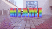 Miami Dolphins Football GIF by Museum of Miami