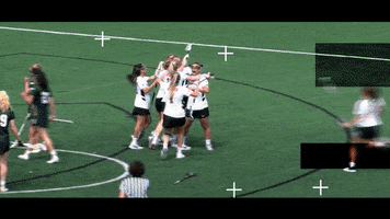 Womens Lacrosse GIF by fairfieldu
