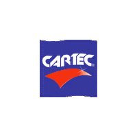 Logo Detailing Sticker by Cartec