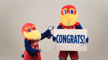 Excited Congrats GIF by University of Kansas