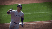 Home Run Sport GIF by New York Yankees