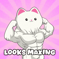 Cat GIF by Silly Kitties