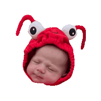 Babylobster Sticker by EastWestHospitality
