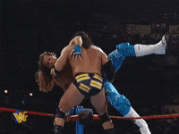 wwe sports wwe wrestling 1995 GIF