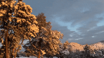 Sun Shines on Snowy Central Arizona After Winter Storm Moves Through