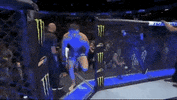 ufc 239 sport GIF by UFC