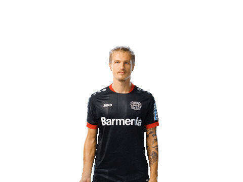 Bayer 04 Werkself Sticker by Bayer 04 Leverkusen