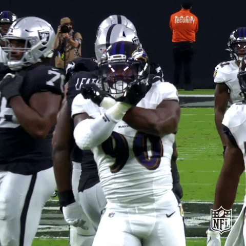 Baltimore Ravens No GIF by NFL