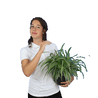 plantsome pet boss plant evil Sticker