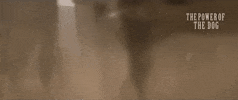 Movie GIF by NETFLIX