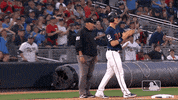 major league baseball sport GIF by MLB