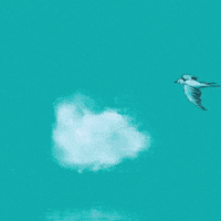 Zweven Flying GIF