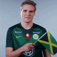 fifa 18 football GIF by VfL Wolfsburg