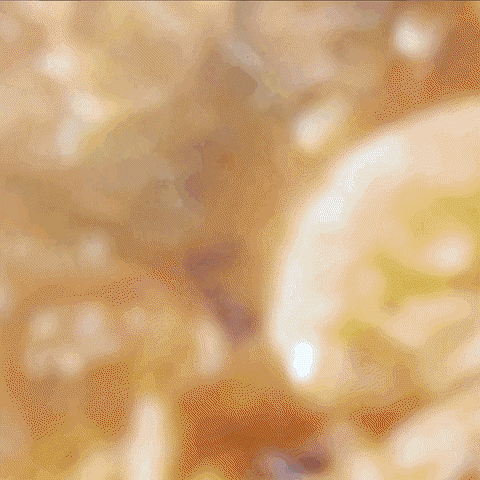 easy gumbo GIF