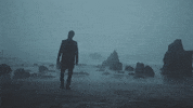 Adam Levine Beach GIF by Maroon 5