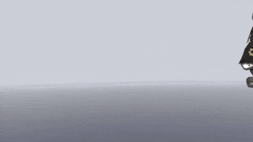 San Francisco Shock Overwatch GIF by NRG Esports & SF Shock