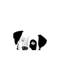 Rescue Dog Adopt Sticker by Rescueyhdistys Kulkurit