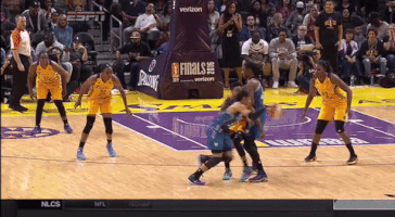 game 4 basketball GIF by WNBA