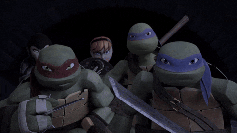 ninja turtles what GIF by Teenage Mutant Ninja Turtles