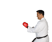IsshoniKarate isshoni isshonikarate Sticker