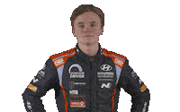 Hyundai Sticker by FIA World Rally Championship