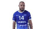 Sport Volleyball Sticker by Amysoft Lycurgus